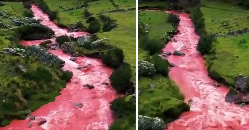 અહીં લોહીની નદી વહે છે! પહેલી ઝલક જોવા માટે લોકો દૂર દૂરથી આવે છે, જાણો શું છે કારણ – જુઓ વિડિયો